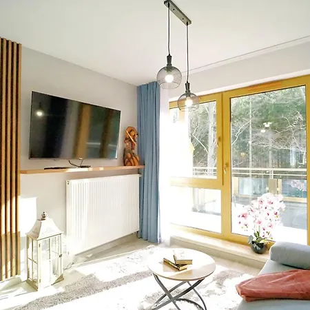 Apartmán Every Sky - Kilinskiego 17a-17b-17c Sklářská Poruba