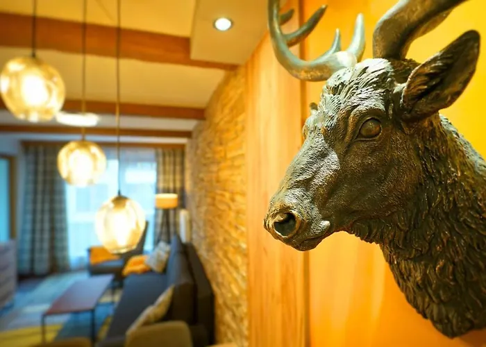 Every Sky - Kilinskiego 17a-17b-17c Apartment *